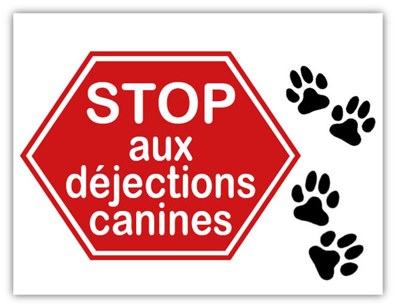 dejection_canines